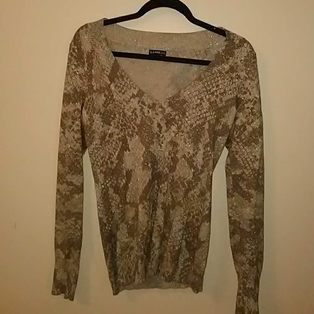 Express Sweater
